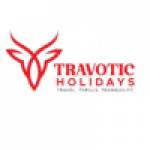 Travotic Holidays profile picture