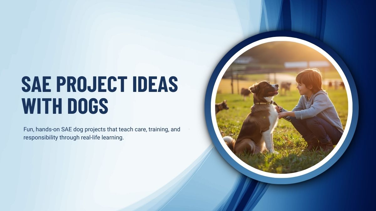 135+ SAE Project Ideas With Dogs: Learn Care and Training