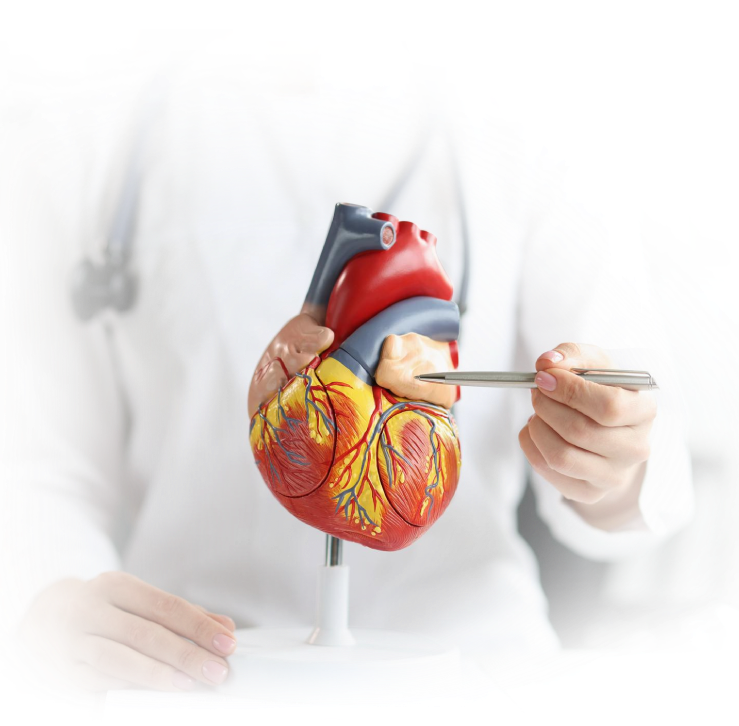 Heart Health Check-Up Dubai | Echo or TMT AED 999 | JTS