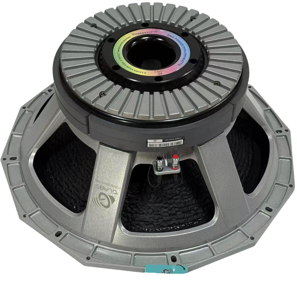 High Power 21 Inch DJ Speaker For Massive Sound
