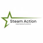 SteamActionCarpetCleaning profile picture