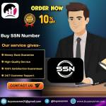 ALL Tipe SMM Accounts profile picture