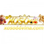XOSO66 VINA Profile Picture