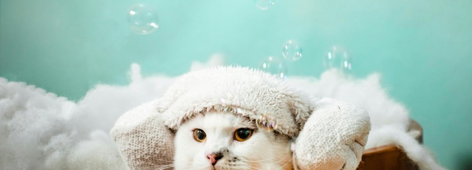 Wheeler Adam Cover Image