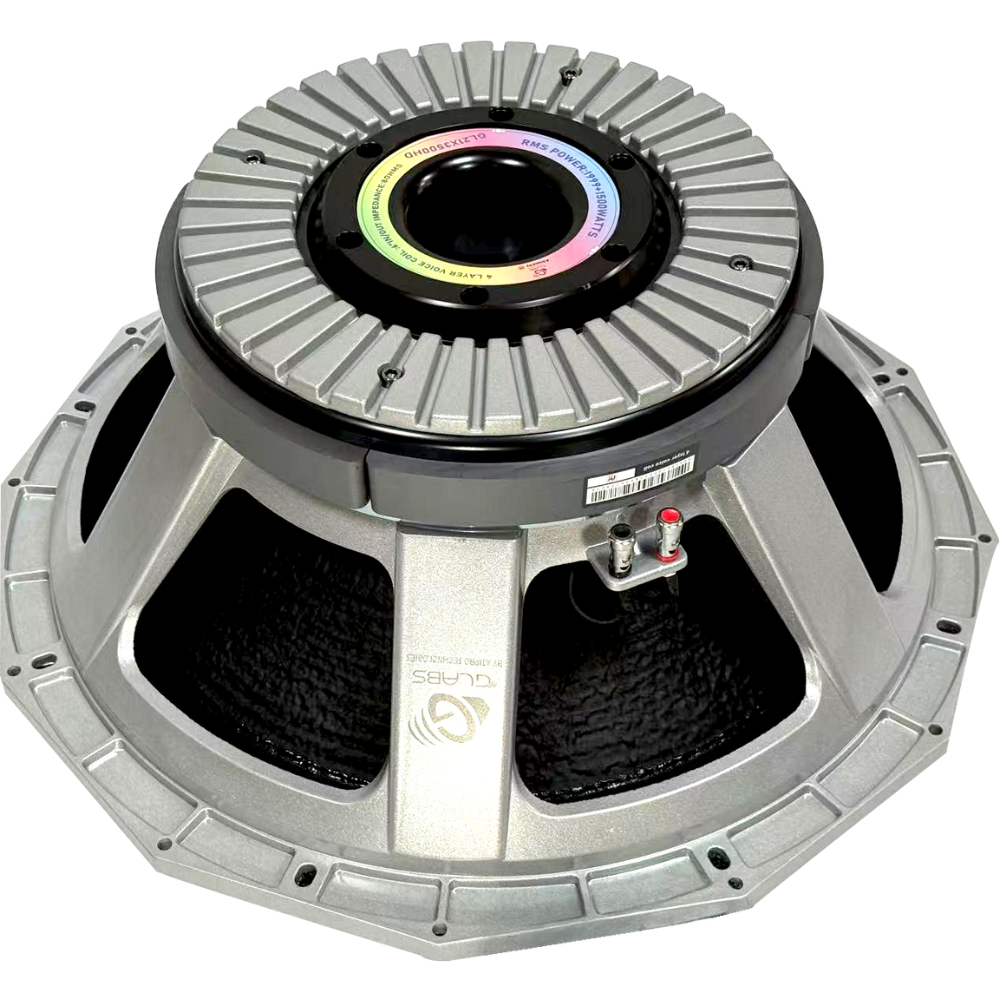 High Power 21 Inch DJ Speaker For Massive Sound