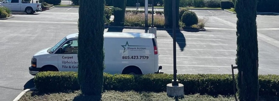 Steam Action Carpet Cleaning Cover Image