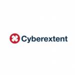 Cyberextent Services profile picture