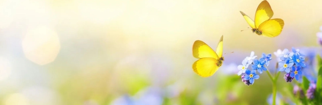 Family Burial Cover Image