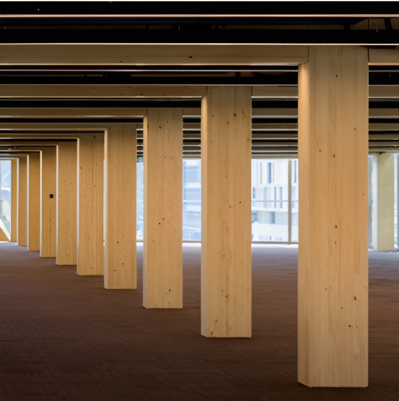 Choosing the Right Structural Timber: a Leading Timber Shop