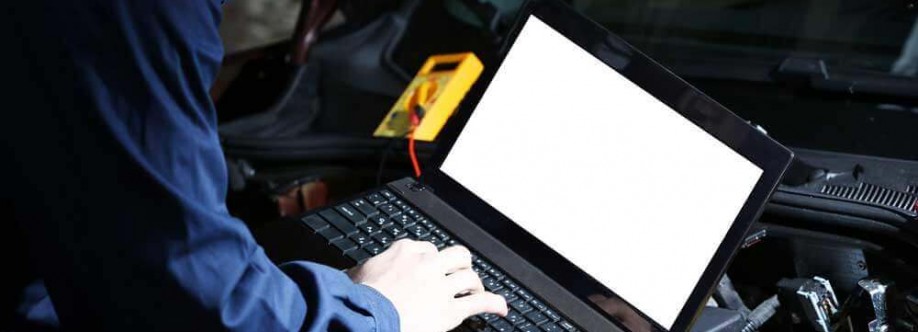 Zoyz Auto Services Ltd Cover Image