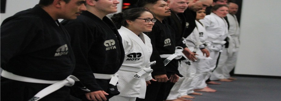 Level 3 Martial Arts Performance Cover Image