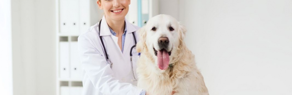 Town and Country Animal Hospital Cover Image