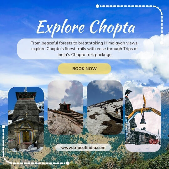 Chopta Tungnath Chandrashila Trek Package