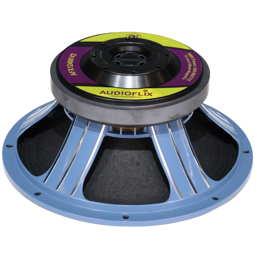 Powerful 12 Inch Ferrite DJ Speaker For Clear Bass
