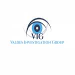 Valdes Investigation Group Profile Picture