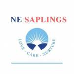 Ne Saplings profile picture
