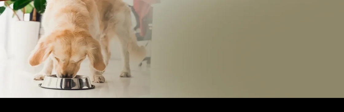 Moore Water & Air Cover Image