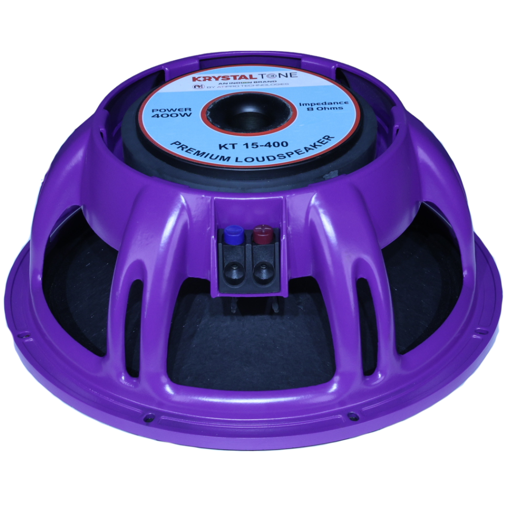 Powerful 15 Inch Ferrite DJ Speaker For Live Sound