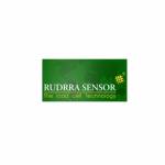 rudrrasensor Profile Picture