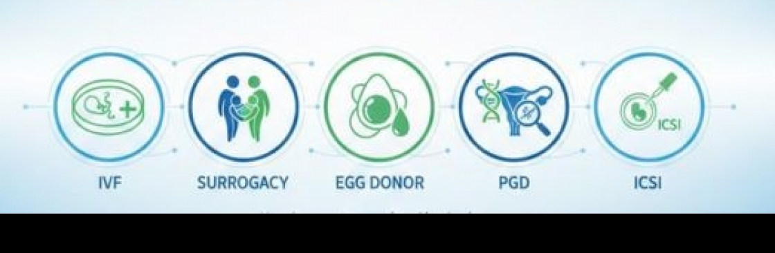 World Fertility Services Cover Image