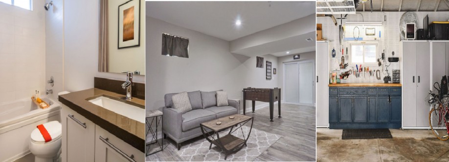 The Mold Genius Cover Image