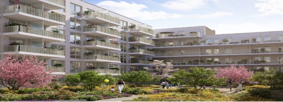 Perspective One Cover Image