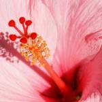 garima11 profile picture