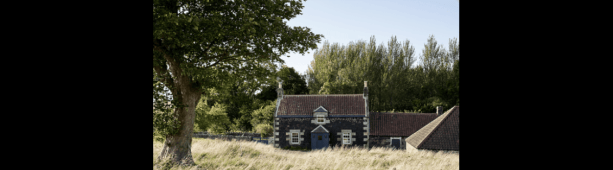 How Staying in Elie Can Make Your Trip Unforgettable – Vibe Writes