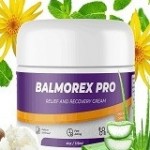 Balmorex Pro Profile Picture