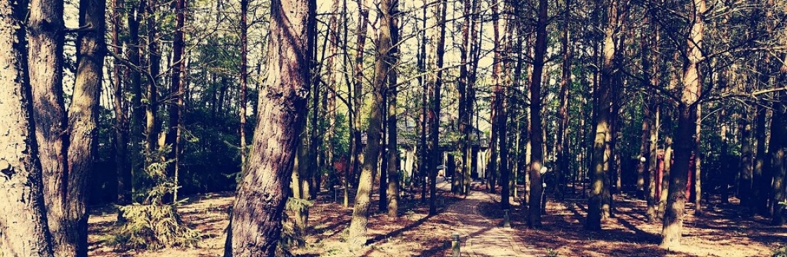 Dom Warsztatów Cover Image