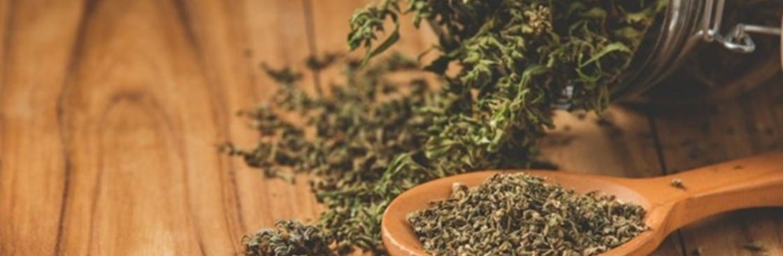 Green Therapy Cover Image