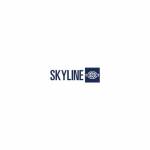 skyline group Profile Picture