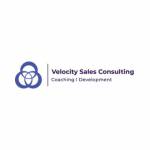 velocitysales Profile Picture