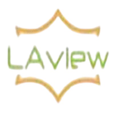Laview Camera Profile Picture