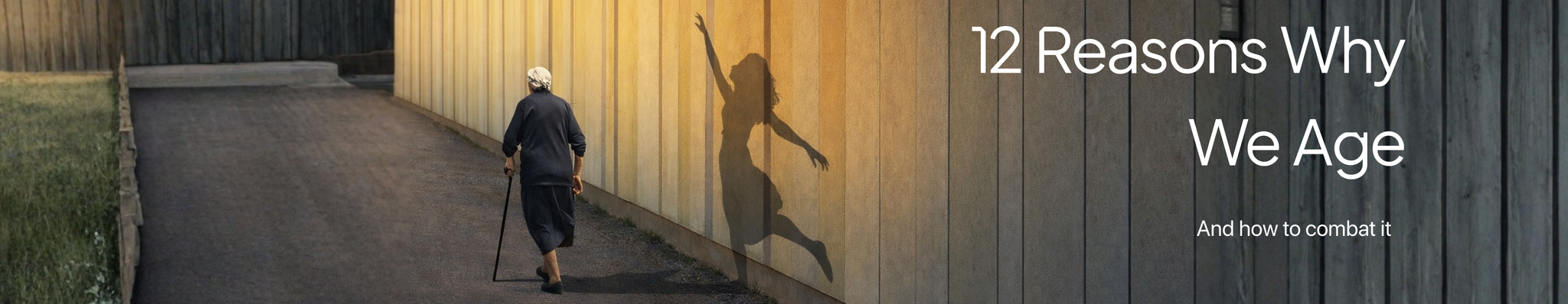 The 12 Hallmarks of Ageing Explained | Biology of Ageing & Longevity Science