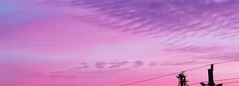 Breanne Wells Cover Image