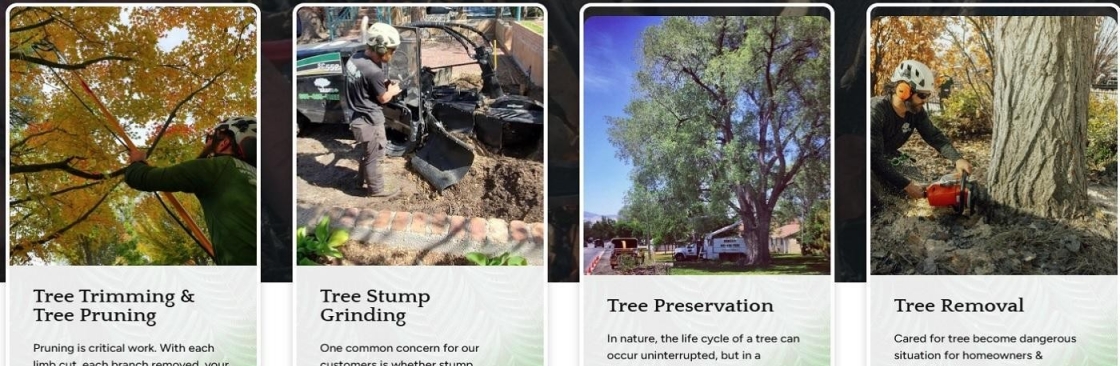 Arbor Plus Cover Image