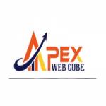 Apex Web Cube Profile Picture
