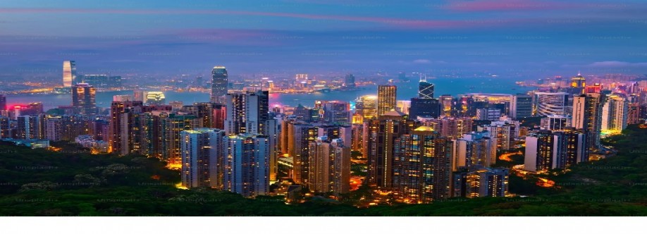 International Property Alerts Cover Image