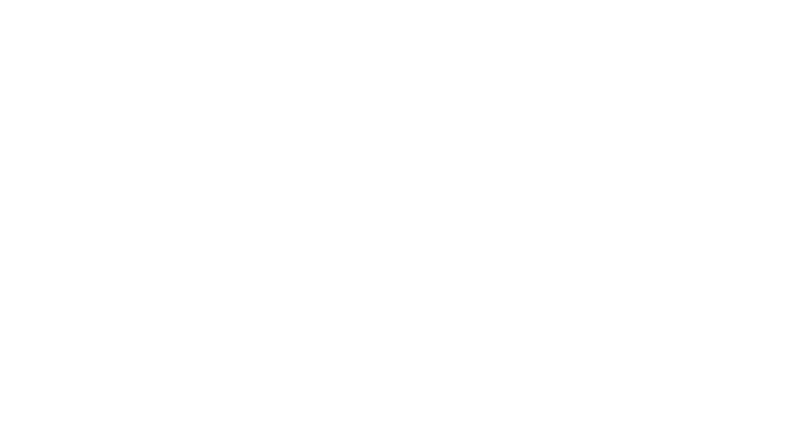 In-Home Elderly Companion Care in Montgomery County
