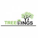 Tree Kings profile picture