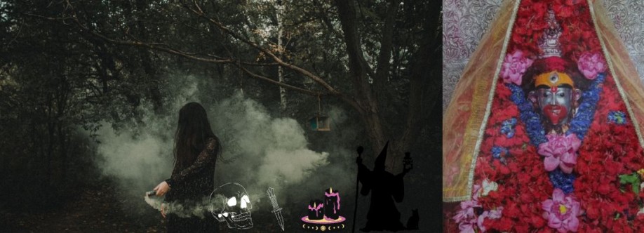 Astrologer In Kolkata Cover Image