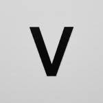 Vijay Singh Profile Picture