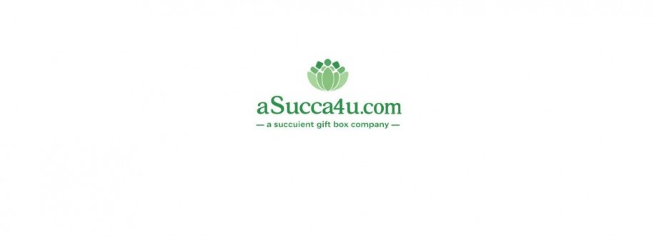 Succulent Arrangements Cover Image