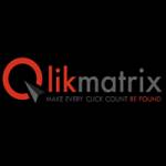 QlikMatrix SEM & Analytics Pvt. Ltd. profile picture