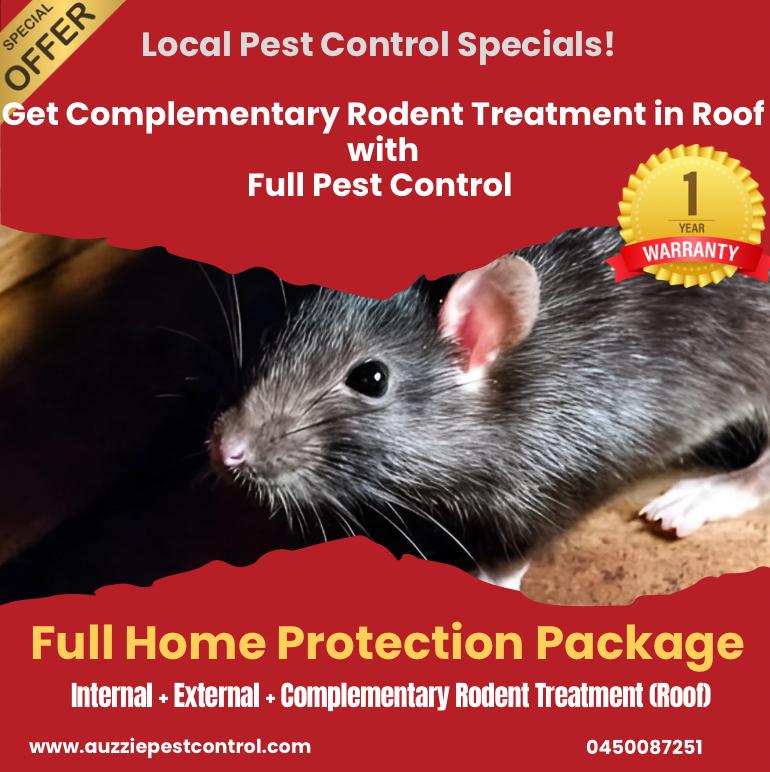End of Lease Pest Control Brisbane | Flea Treatment & Certificate