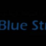 Bluestream pools profile picture