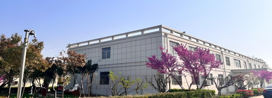 Moat City Limited Cover Image