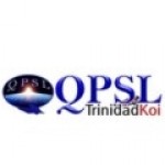 QPSL Ltd Profile Picture