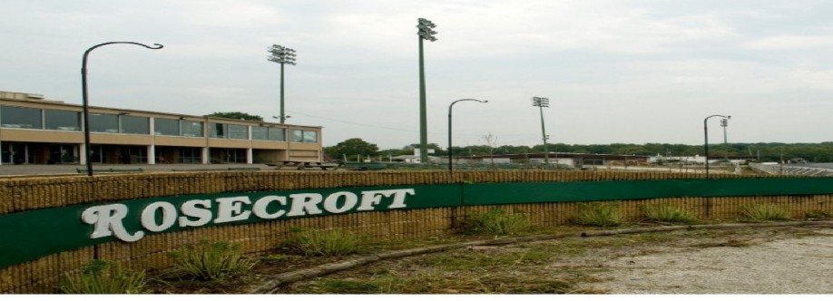 Harnesslink Cover Image